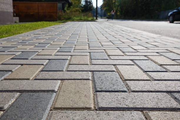 Best Driveway Pavers Near Me  in Skidway Lake, MI